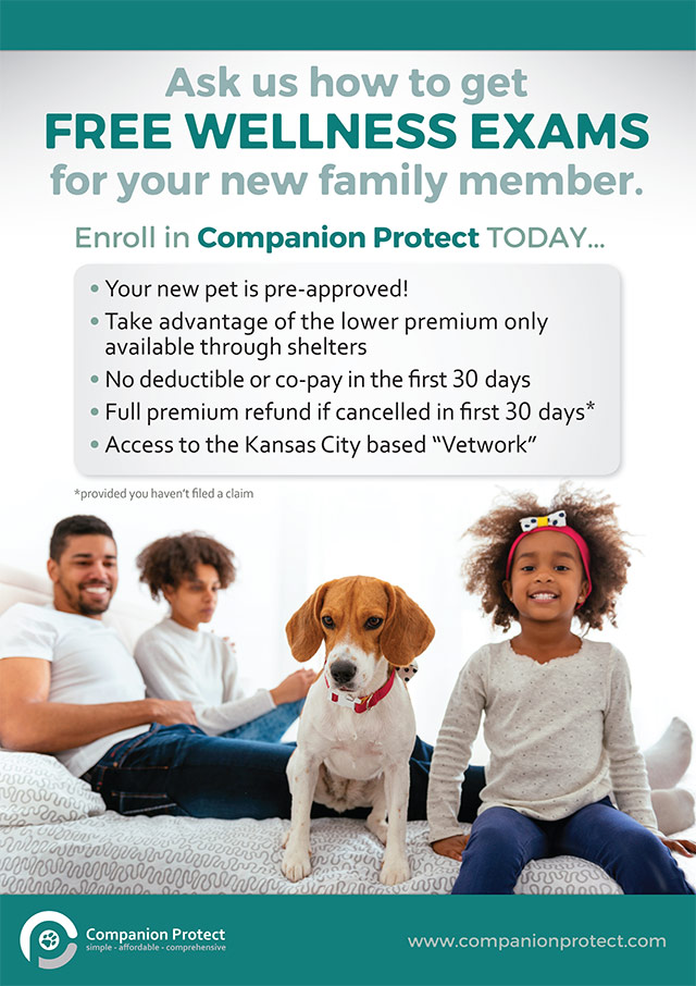 Pet Healthcare Program
Point-of-Adoption Posters