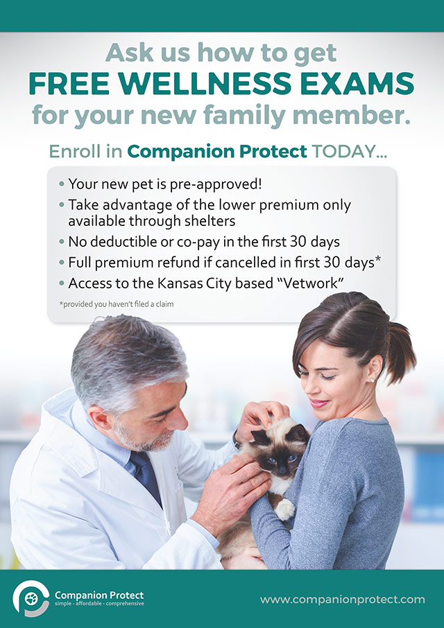 Pet Healthcare Program
Point-of-Adoption Posters