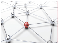 Telecom Provider Tri-fold Brochure